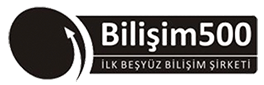 Bilisim500